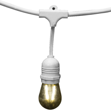 EdisonLightsSingle
